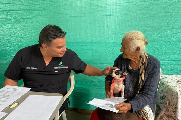 Crece población de felinos y caninos con atención especializada en Santander imagen de la publicación
