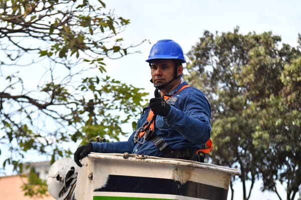 Más zonas iluminadas y más seguridad para Santander