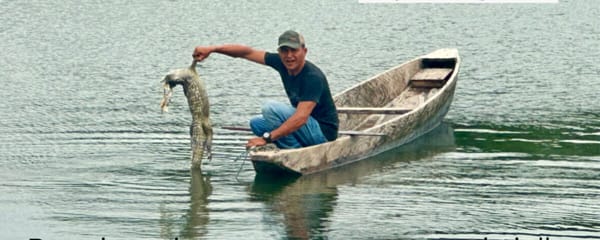 Alerta ambiental en Simití: masacre de caimanes y babillas pone en riesgo la ciénaga