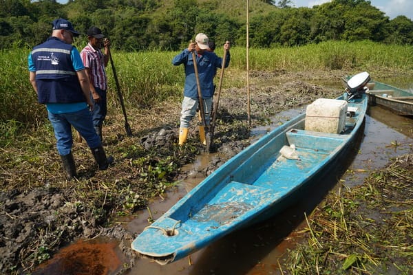 Denuncian grave contaminación en la ciénaga El Llanito imagen de la publicación