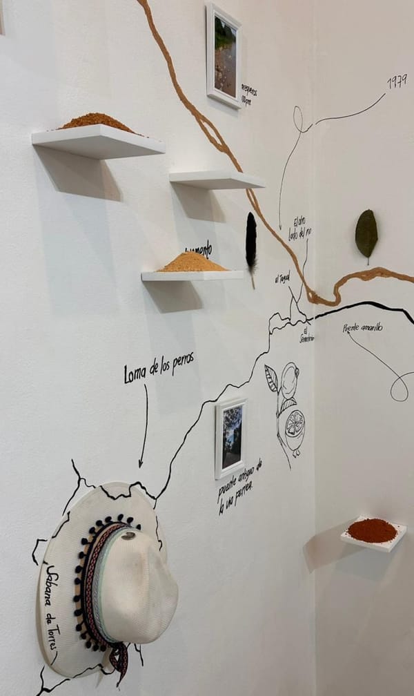 Propuesta artística “Cauce” en el Centro Colombo Americano