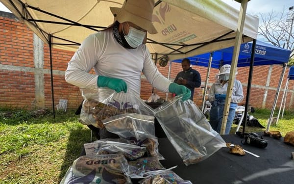 Recuperan 16 cuerpos de personas reportadas como desaparecidas en el cementerio municipal de Bucaramanga
