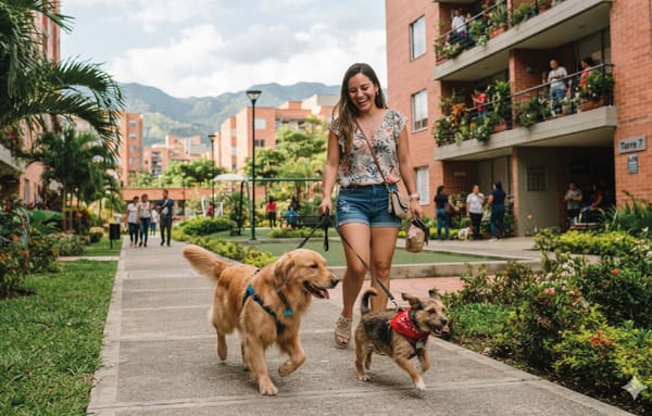 Conjuntos no pueden restringir el tránsito de animales de compañía por zonas comunes: Corte