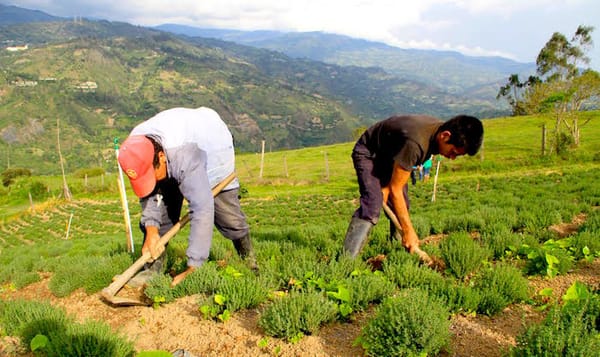 Denuncian patrón de amenazas y torturas contra beneficiarios de la Reforma Agraria