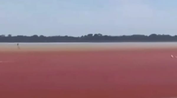 Ciénaga El Llanito se tiñó  de 'rojo sangre' en Barrancabermeja