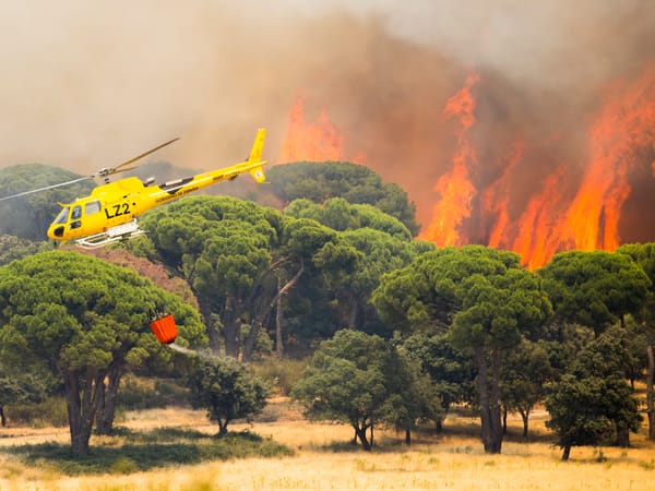 España enfrenta una catástrofe histórica: incendios forestales ya arrasaron decenas de miles de hectáreas