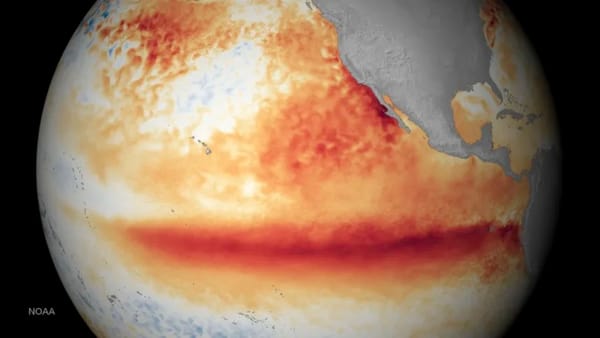 El Niño podría intensificar el calor extremo y los eventos climáticos entre 2026 y 2028