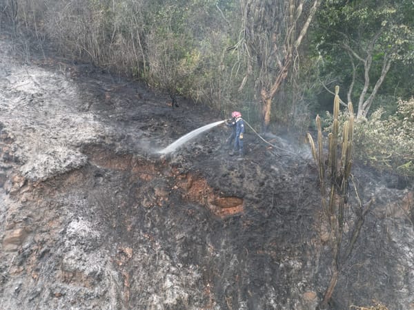 Bomberos de Floridablanca controlaron incendio forestal que amenazaba conjunto residencial en Girón