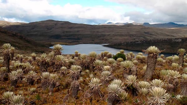 Colombia tiene el páramo más grande del mundo y así se prepara el gobierno para protegerlo