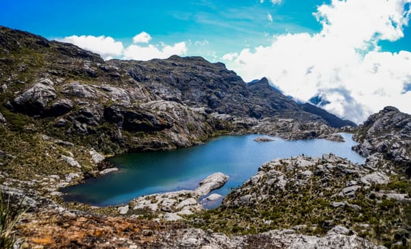 Páramo de Santurbán pronto  tendrá más demandas que agua