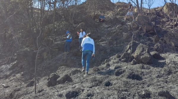 Condiciones secas asociadas al fenómeno de El Niño tienen en apuros a Santander