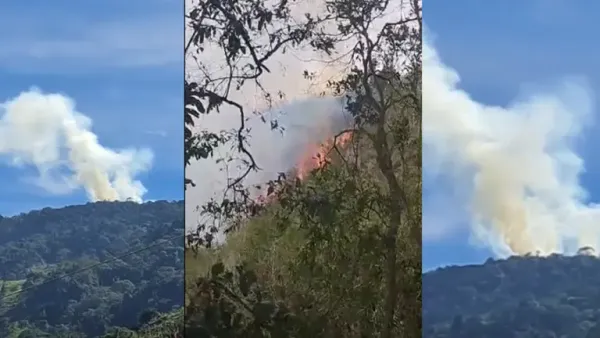 Incendio forestal lleva cinco días fuera de control en Matanza: fuego ya consumió 15 hectáreas