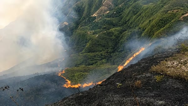 Continúa en llamas zona rural de Mogotes: autoridades trabajan por controlar la emergencia