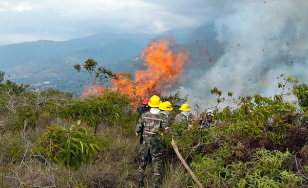 Santander en alerta: Bomberos activa plan de choque ante el aumento de incendios forestales