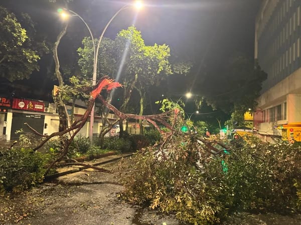 Lluvia, granizo, fuertes vientos y rayos causaron destrucción en Bucaramanga