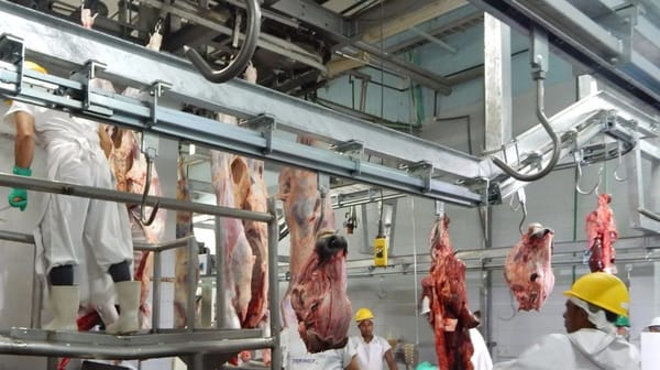 Los Santos y Coromoro construirán sus plantas de beneficio animal