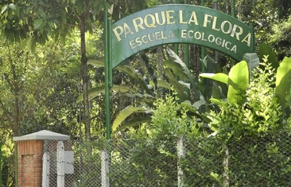 Conservación y restauración de varios parques y bosques