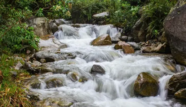Alerta por contaminación y captaciones de agua en fuente hídrica de varios municipios de Santander