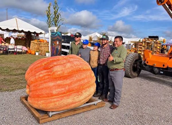Calabaza de 1.431 kilos rompe récord Guinness que llevaba apenas una semana