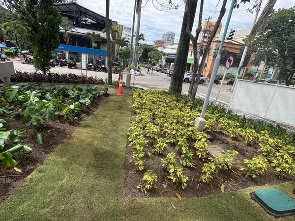 Bucaramanga reverdece sus CAI: recuperan zonas verdes en Sotomayor y el viaducto metropolitano