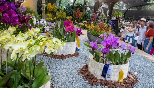 ‘La Ciudad Bonita’ abrió plazuela para la diversidad de las orquídeas