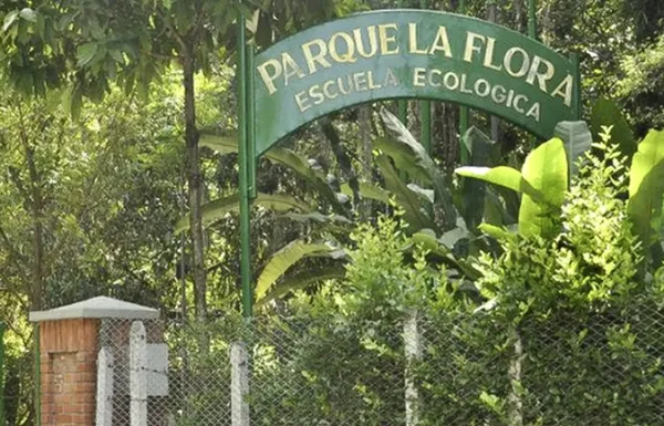 Conservación y restauración de varios parques y bosques
