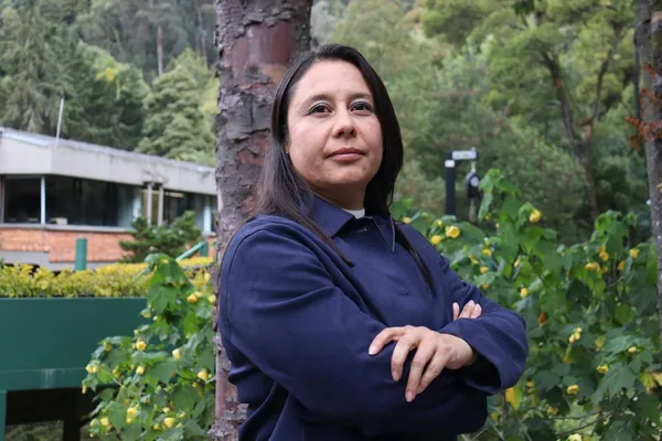 El mercado laboral cambió. ¿La universidad también?