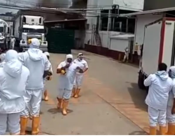 Ardió en llamas planta procesadora avícola Distraves en Piedecuesta imagen de la publicación