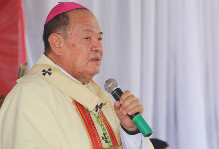 Bucaramanga celebra con esperanza la elección de León XIV como nuevo papa imagen de la publicación