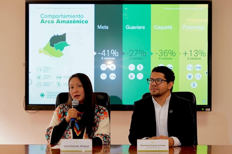 Por fin hubo reducción en las cifras de deforestación de la Amazonía imagen de la publicación