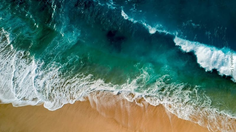 Colombia marcó la ruta azul para salvar los océanos del planeta imagen de la publicación