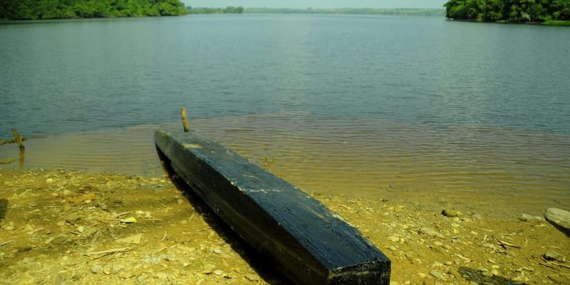 Jornada ambiental en la ciénaga San Silvestre imagen de la publicación