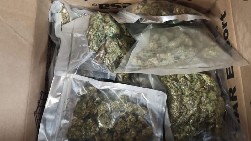 Incautan 10 kilogramos de Marihuana en bus intermunicipal entre San Gil y Bucaramanga imagen de la publicación