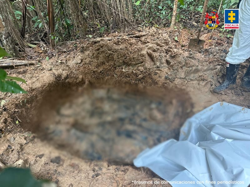 Hallan fosa común con ocho líderes sociales asesinados por disidencias de las FARC imagen de la publicación