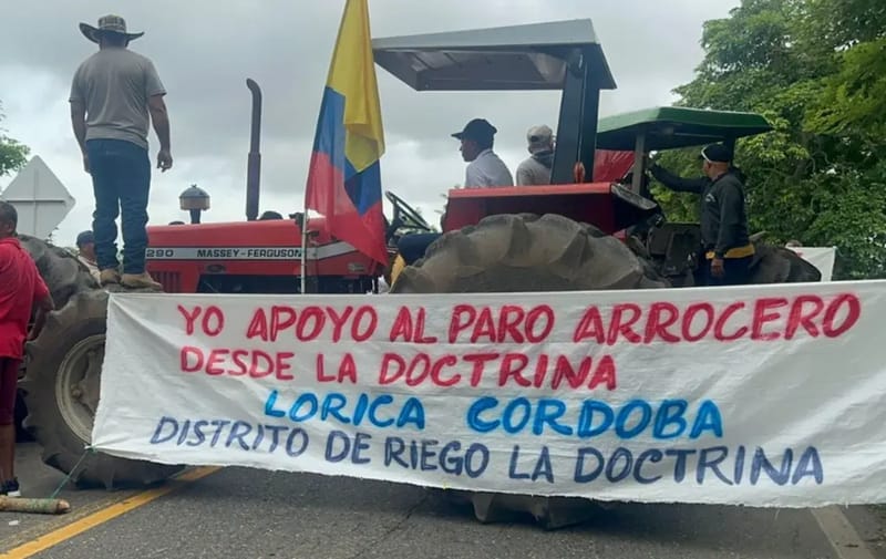 Bloqueos viales y exigencias al gobierno por paro arrocero imagen de la publicación