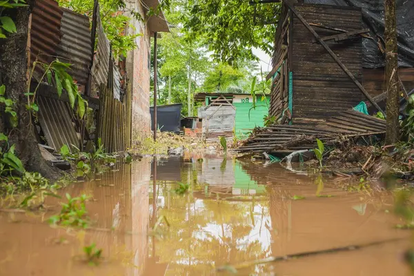Aleida Noguera alerta crisis por desbordamiento del río Magdalena imagen de la publicación