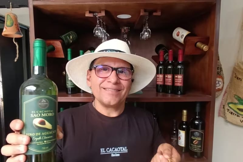 El vino que nació del corazón verde de Santander imagen de la publicación