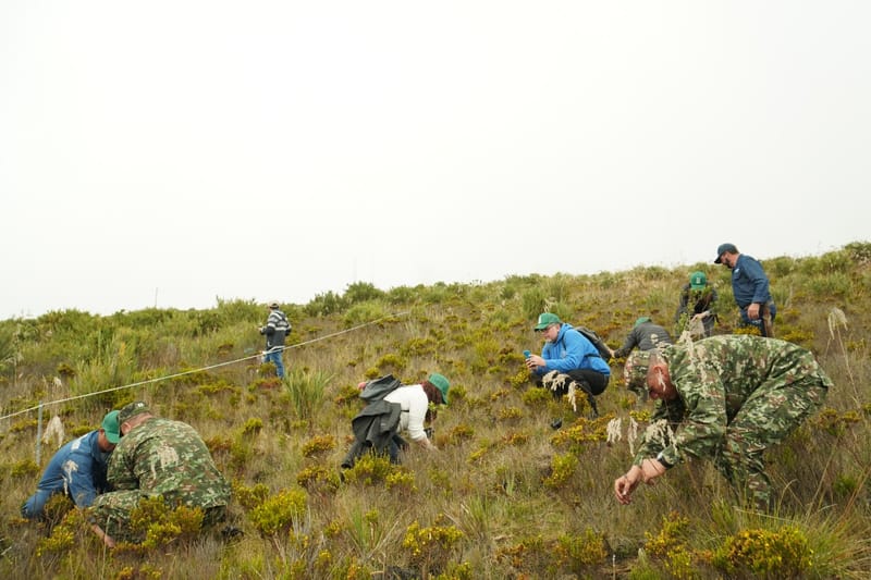 La unión hace la conciencia: Ejército, AMB, la CDMB y Bomberos de Floridablanca se unen por el renacer del páramo de Berlín imagen de la publicación
