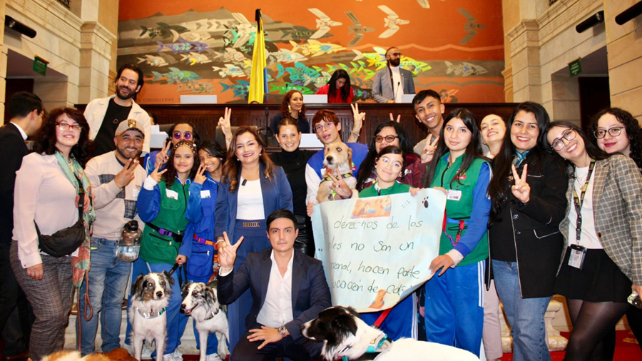 Aprobada Ley que impone educación ambiental con enfoque de bienestar animal para colegios del país imagen de la publicación