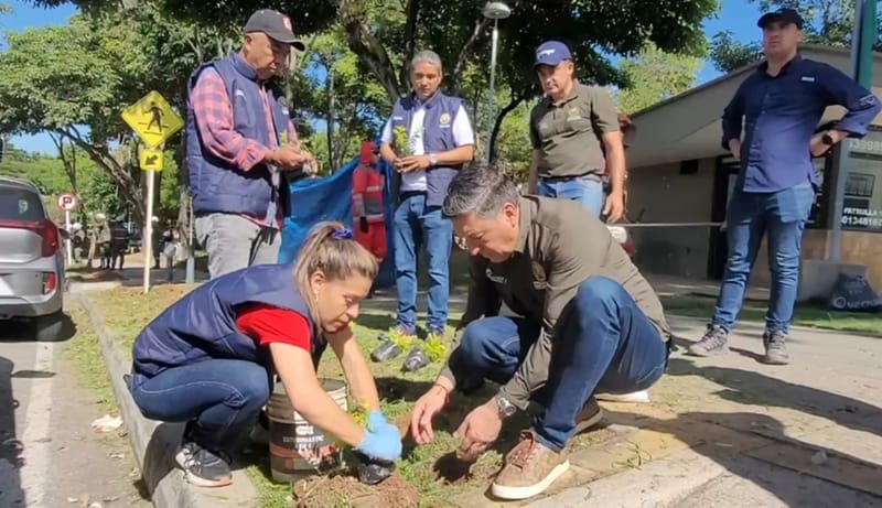 Ayude a las fábricas de agua y done árboles para reforestar a Santander imagen de la publicación
