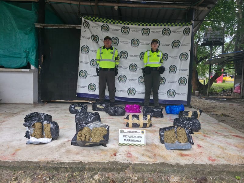 Policía de Santander incauta más de 7.400 dosis de marihuana ocultas en encomienda imagen de la publicación