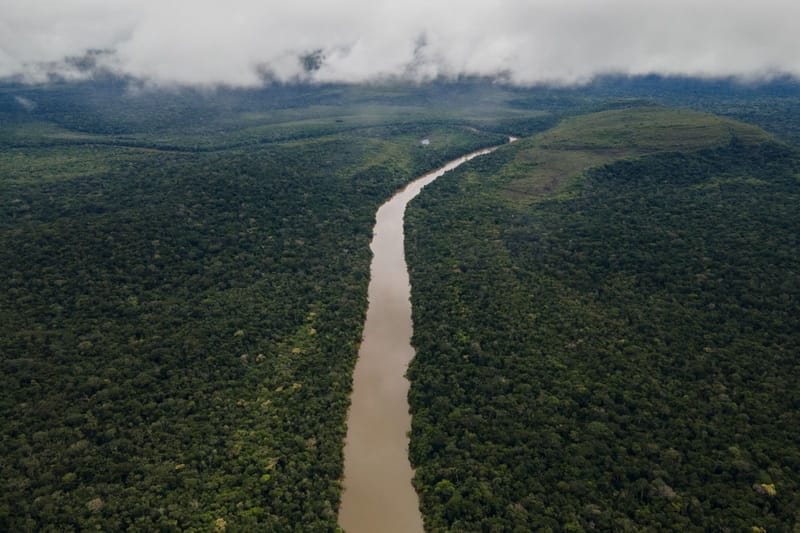 Balance ambiental: menos tala, más retos en la Amazonía imagen de la publicación