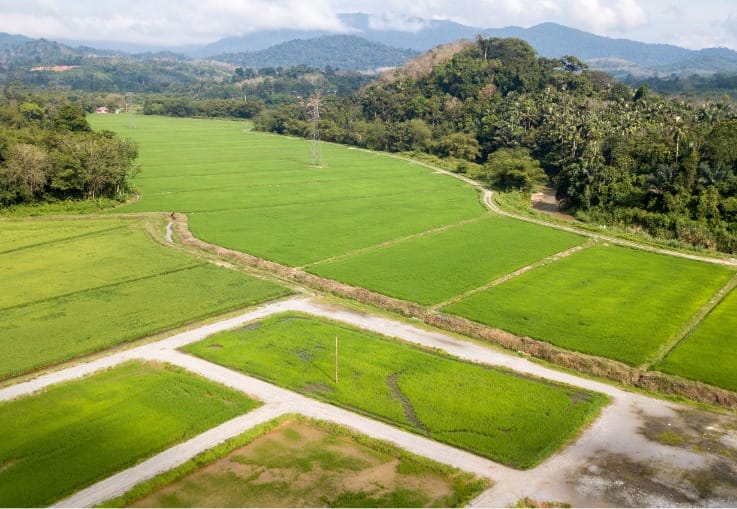 Empapelan a ex jefa de planeación de Barbosa por parcelar un predio protegido imagen de la publicación