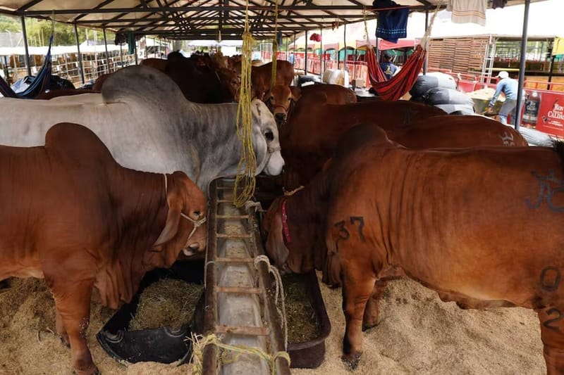 Crecimiento histórico en las exportaciones de Santander durante el 2025 imagen de la publicación