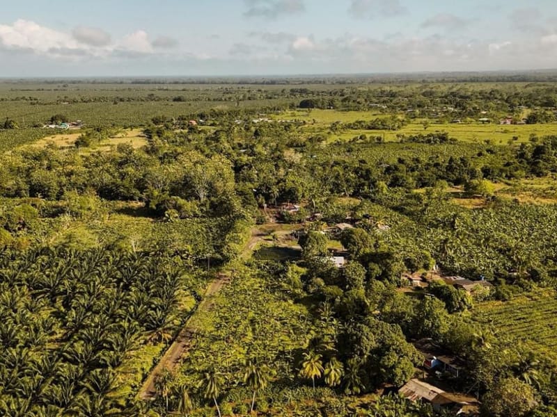 Expropian predios de Cuco Vanoy, pasarán a mano campesinas imagen de la publicación