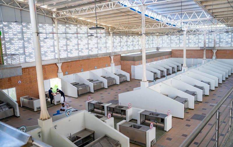 Reubicación de vendedores de pescado en Barrancabermeja imagen de la publicación