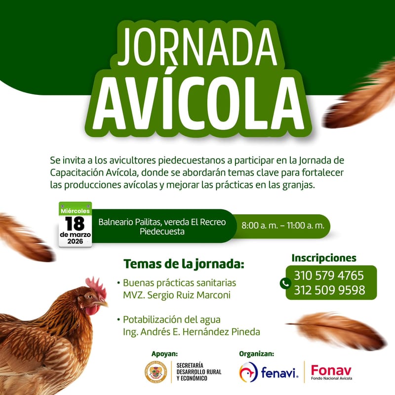 Avicultores de Piedecuesta participarán en jornada de capacitación técnica imagen de la publicación