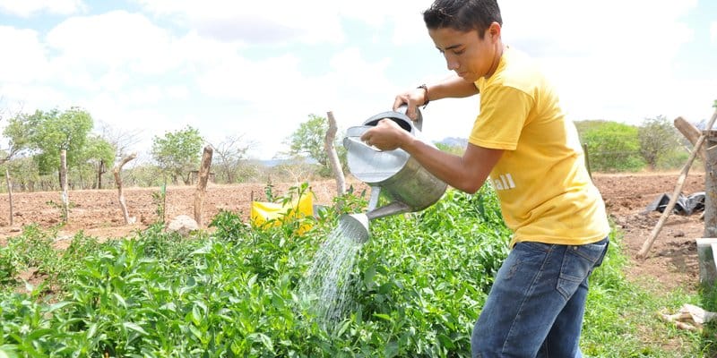 Suelos protegidos por su vocación agrícola llegaron a 140 mil hectáreas en Colombia imagen de la publicación