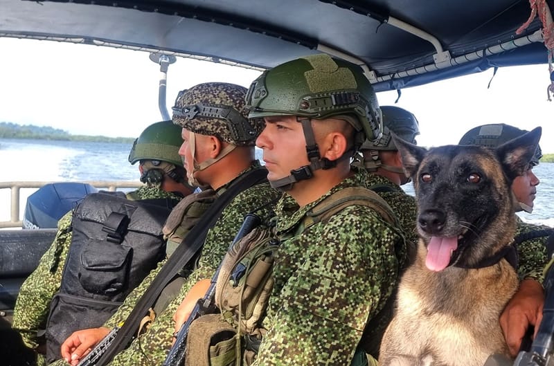 15 mil militares blindarán las elecciones en Santander imagen de la publicación