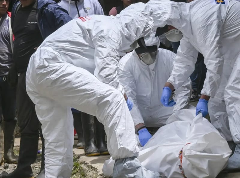 Terror en sur de Bolivar: hallados 16 cadáveres en descomposición imagen de la publicación